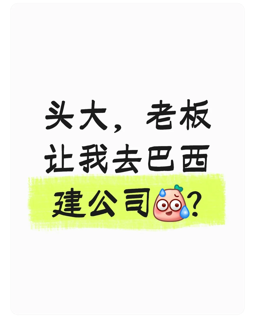 头大，老板让我去巴西建公司?