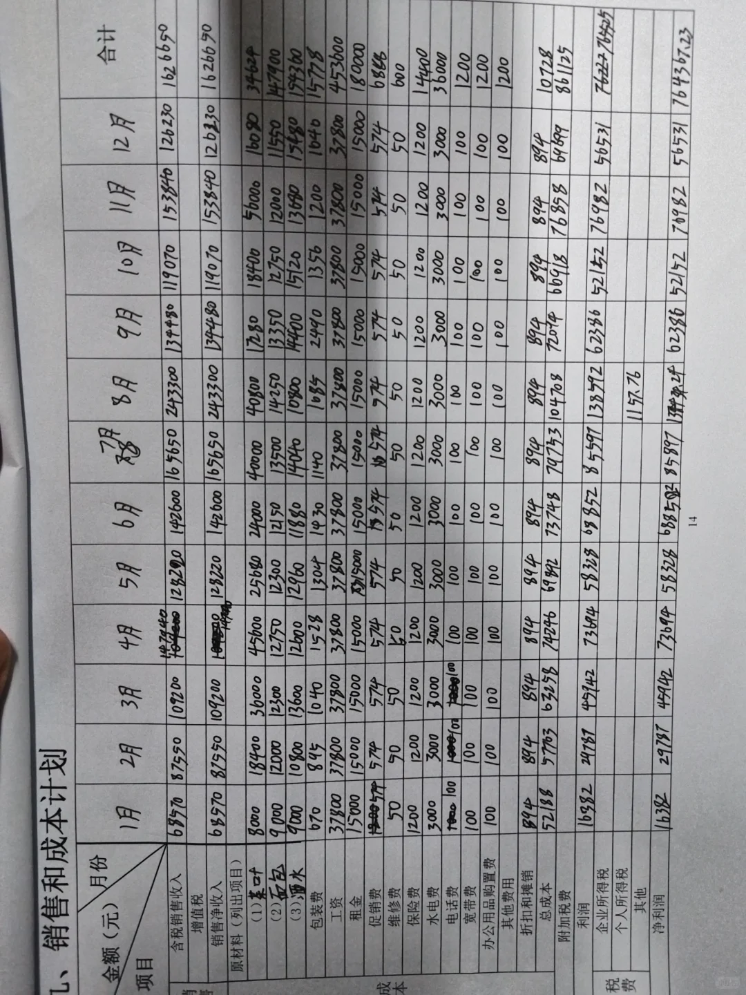 创业计划书（大学生版）