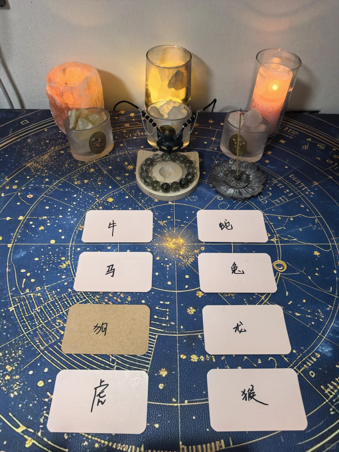 今日传讯?幸福的港湾！