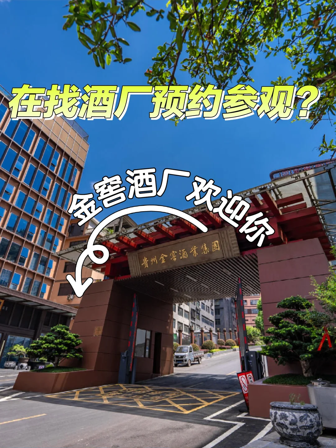 茅台镇免费酒厂参观！游客酒鬼狂喜?