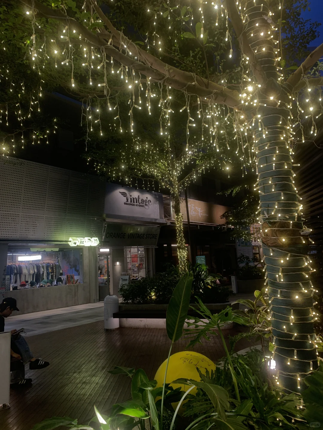 大东海的瑞海购物公园拖国际化后腿了