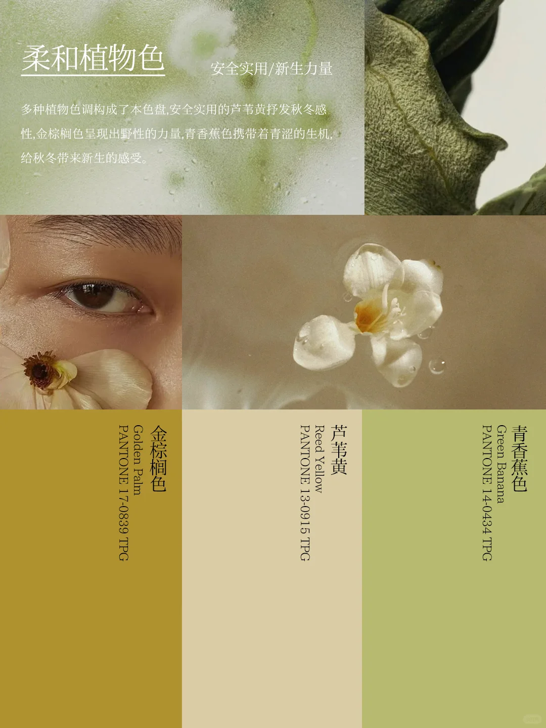 审美提升?2025 针织配色灵感色盘～