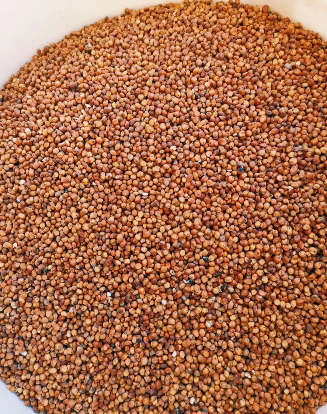 传统制酉，1369年