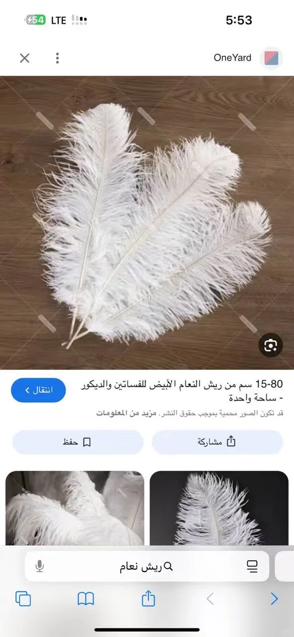 广交会捞供应商