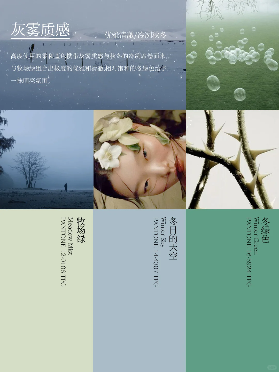 审美提升?2025 针织配色灵感色盘～