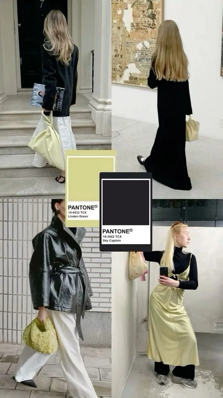 26秋冬两色搭配方案