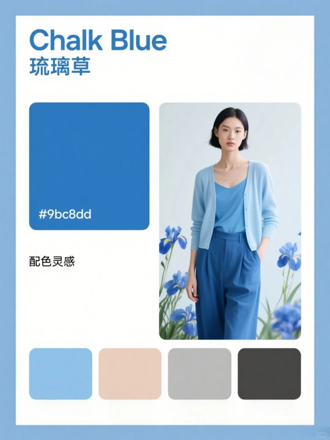 2025秋冬流行色彩：6组配色灵感?