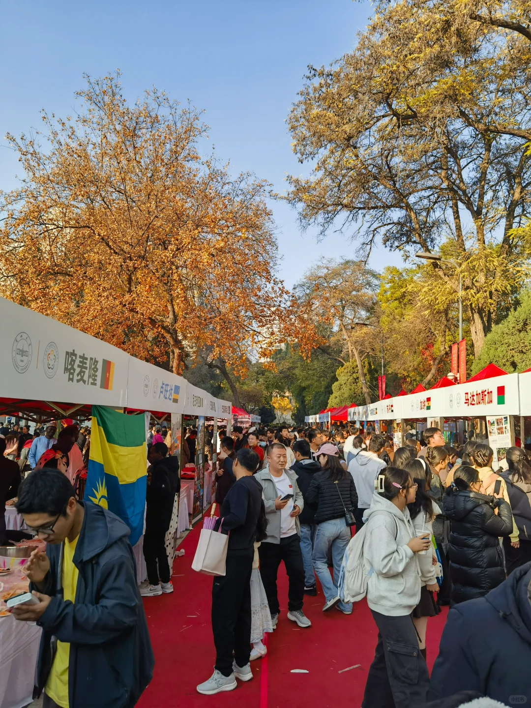 兰大｜国际文化交流节！