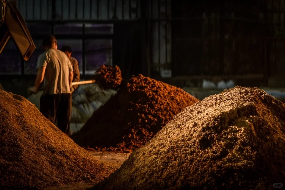 重阳下沙｜一坛酱香酒生命的起点