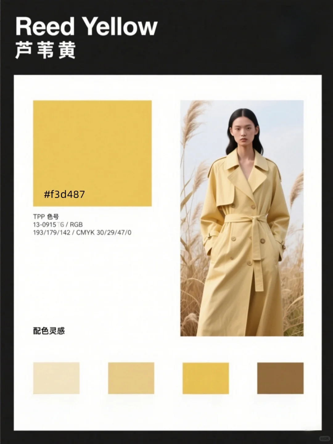 2025秋冬流行色彩：6组配色灵感?