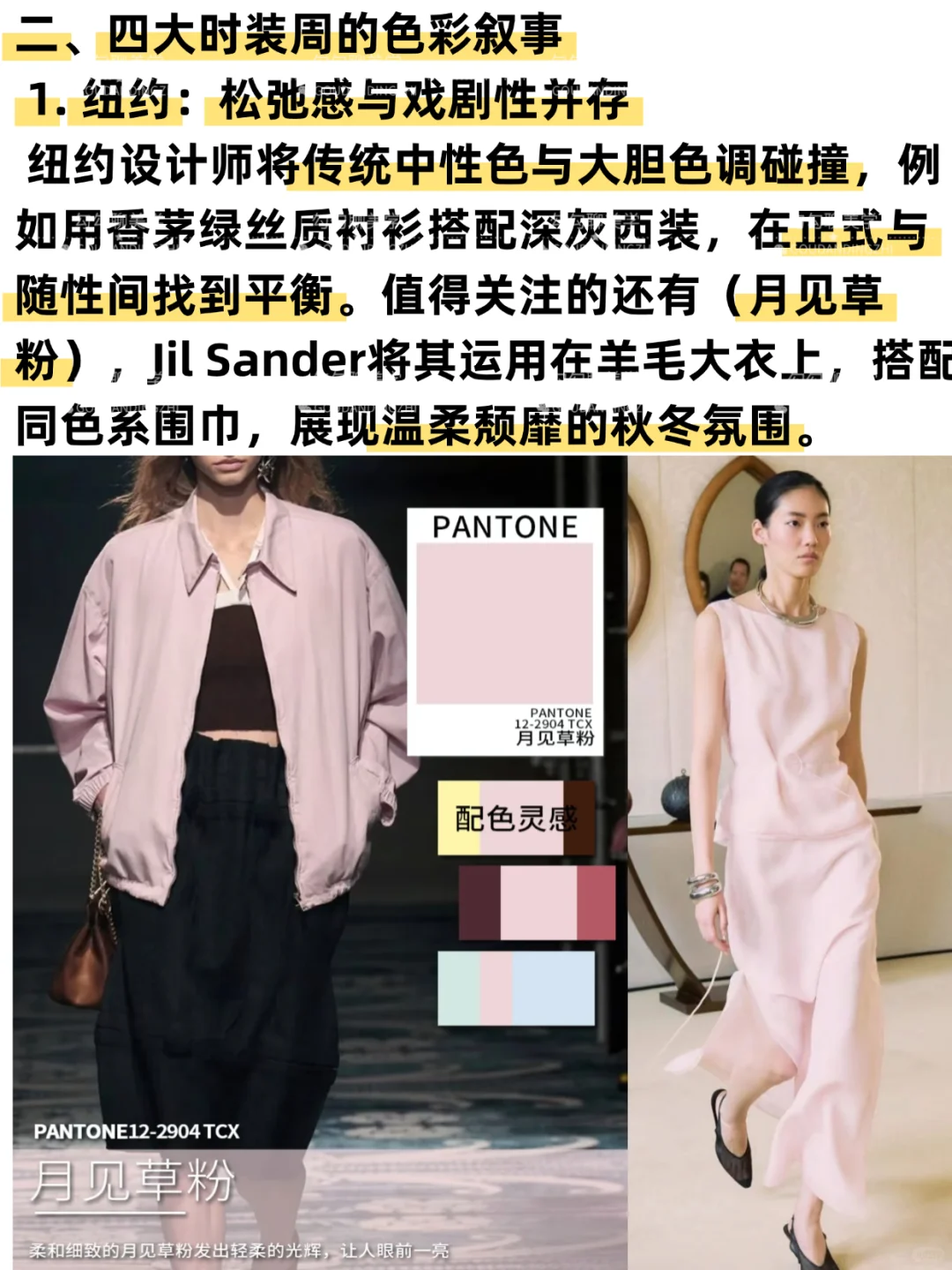 2025秋冬流行色全解析｜一篇说清秋冬流行色