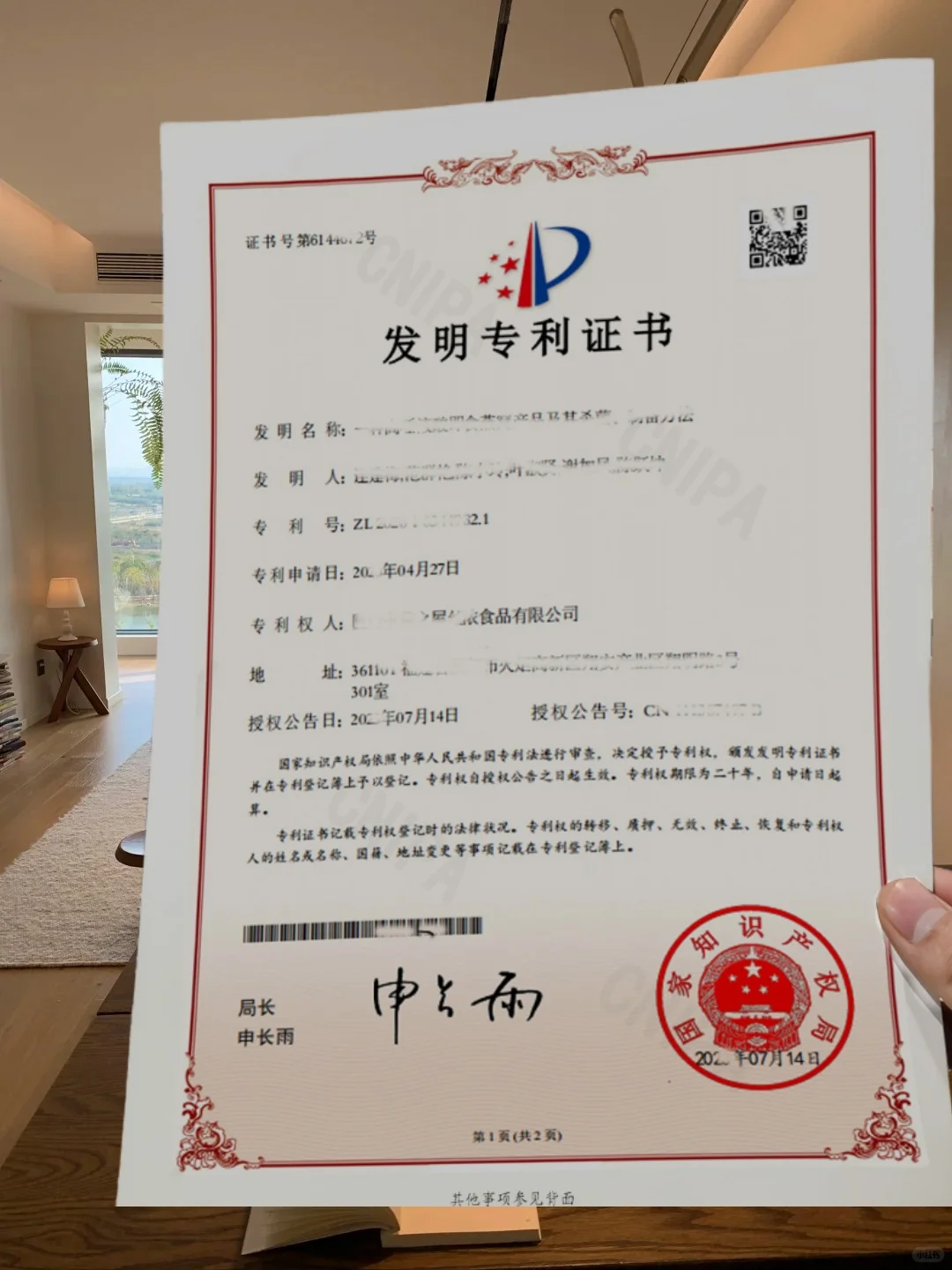 几百块的专利真的太爽了?