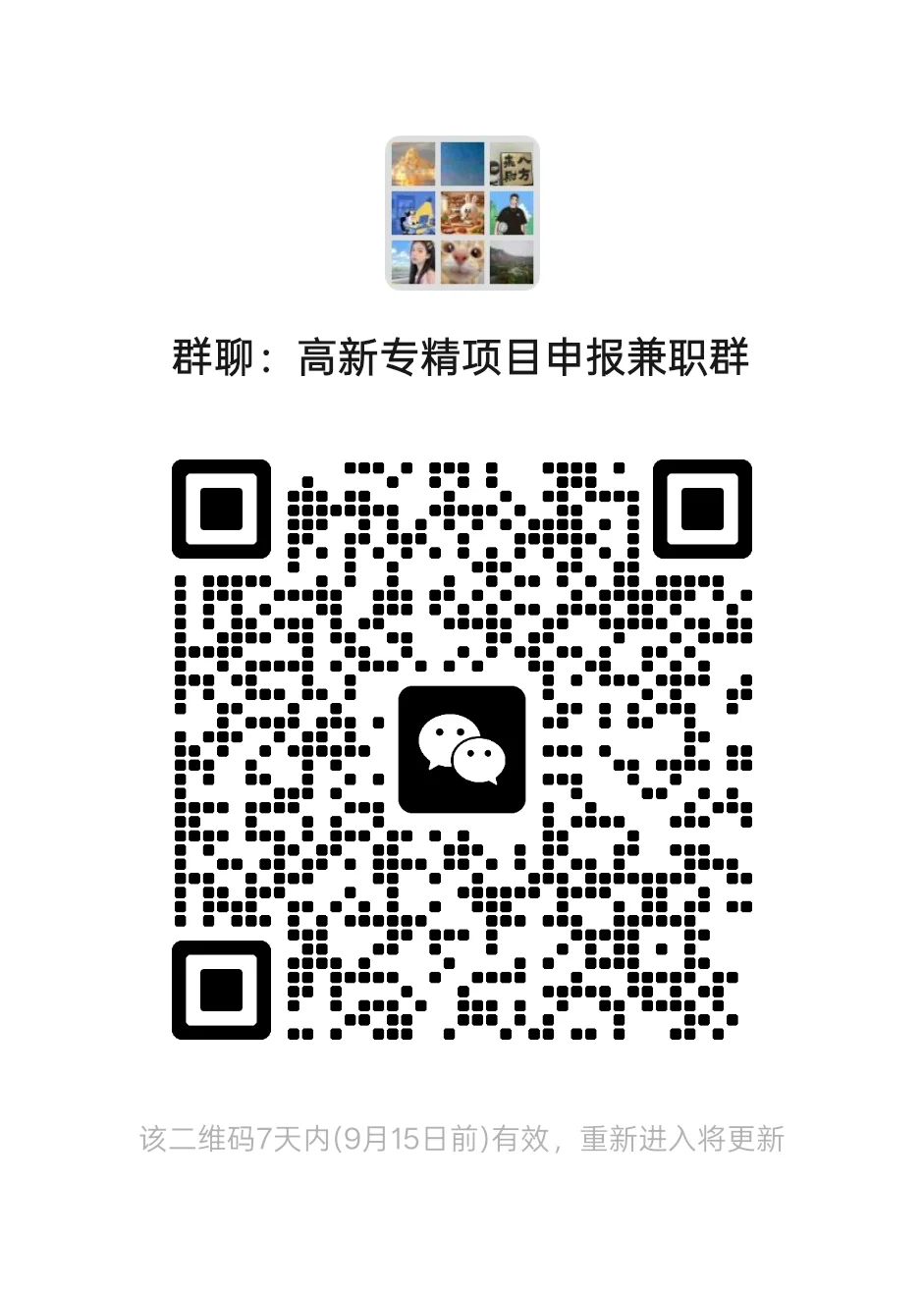 高新专精项目 申报兼职