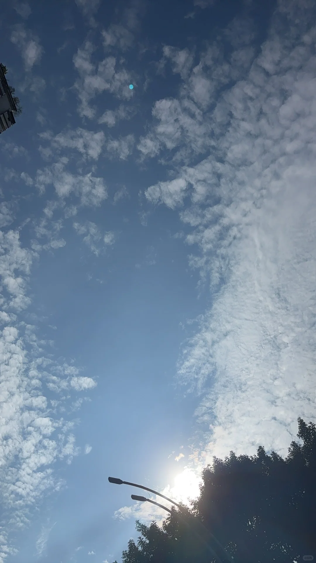 外贸打工人真的挣钱吗？