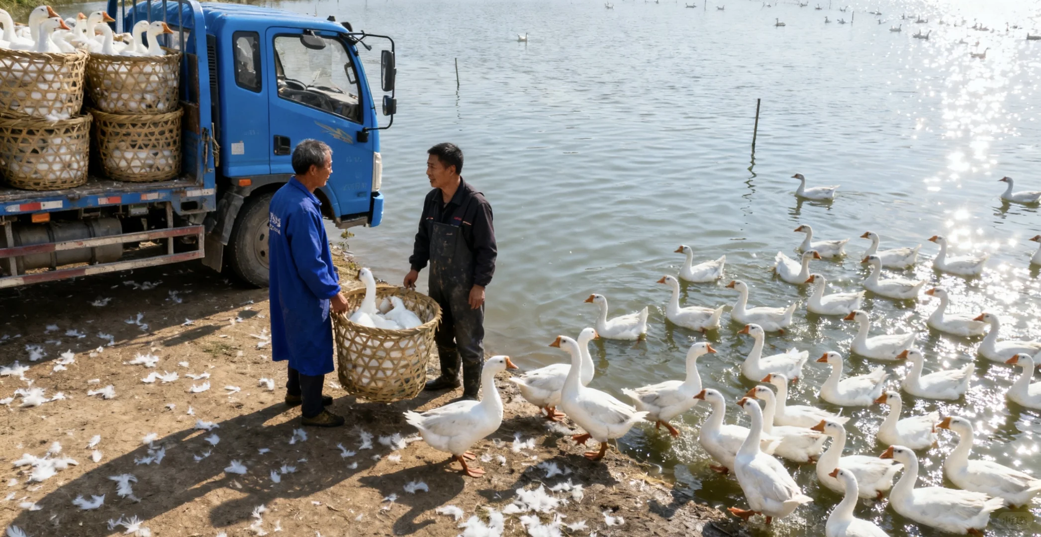 新政炸裂分享（第二弹）