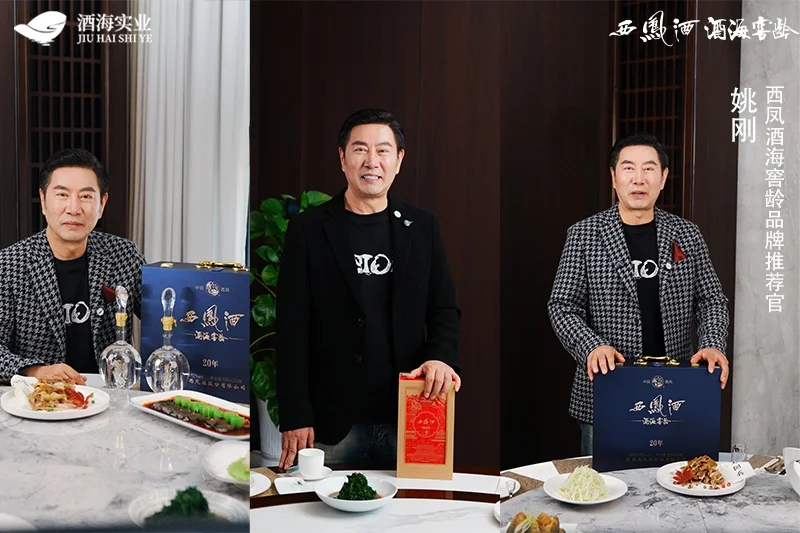 实力派演员姚刚推荐西凤酒海窖龄赠内蒙珍品