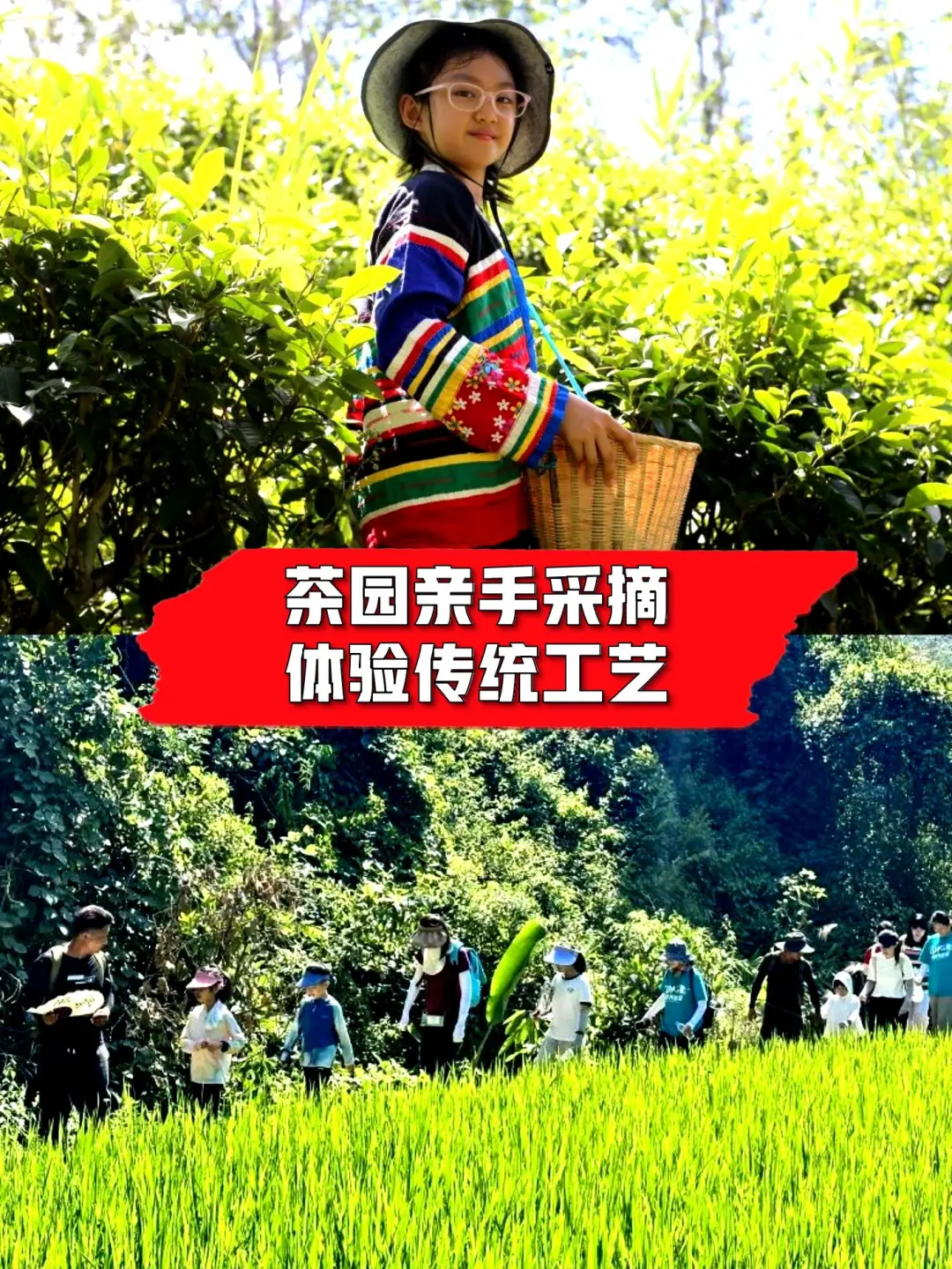 终于有人把研学的类型给说清楚了‼️