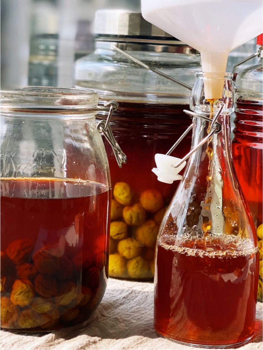 初夏之青梅，春分之美酒｜自酿青梅酒（附㊙️