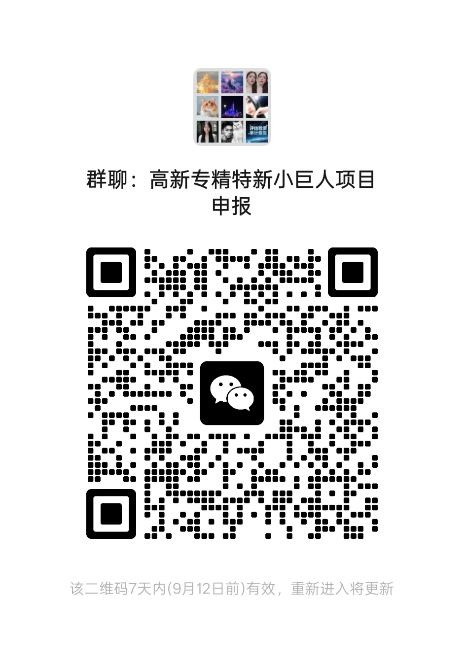 高新专精特新小巨人项目申报群