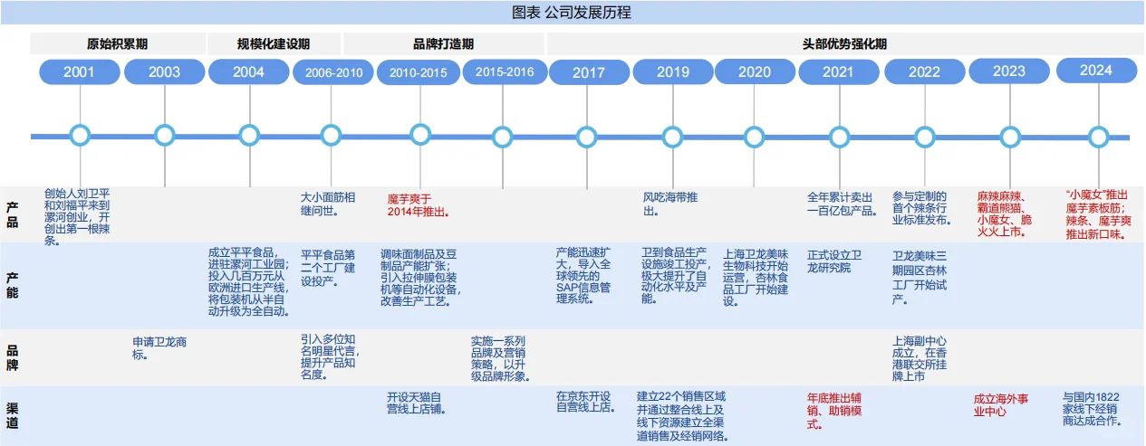 2025年卫龙市场分析报告2份