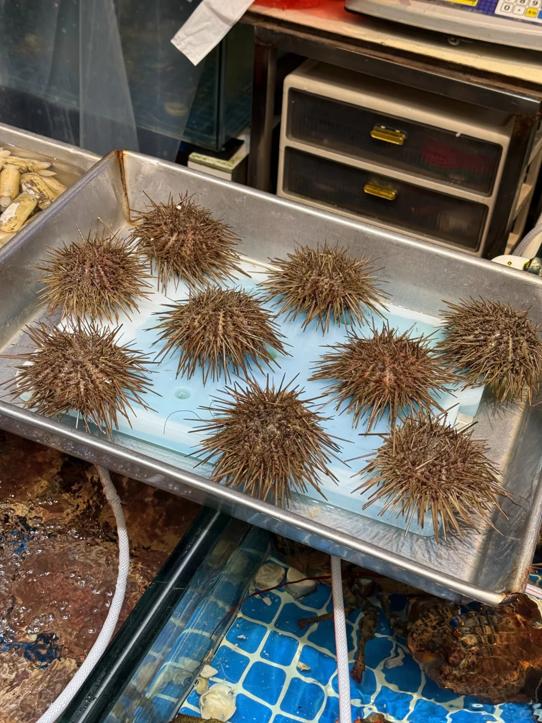 青岛海鲜坠肥的季节｜海鲜加工最全攻略来啦