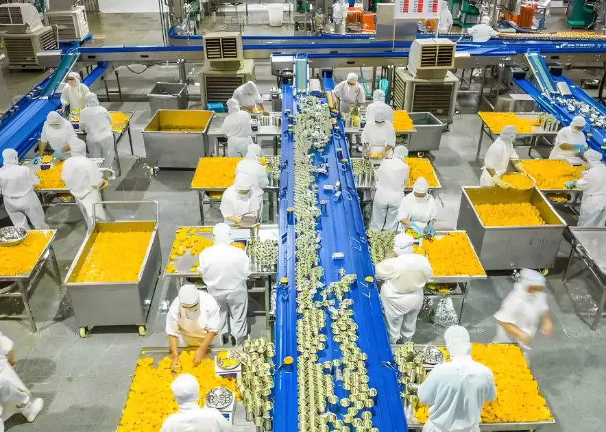 农产品加工厂可行性研究报告