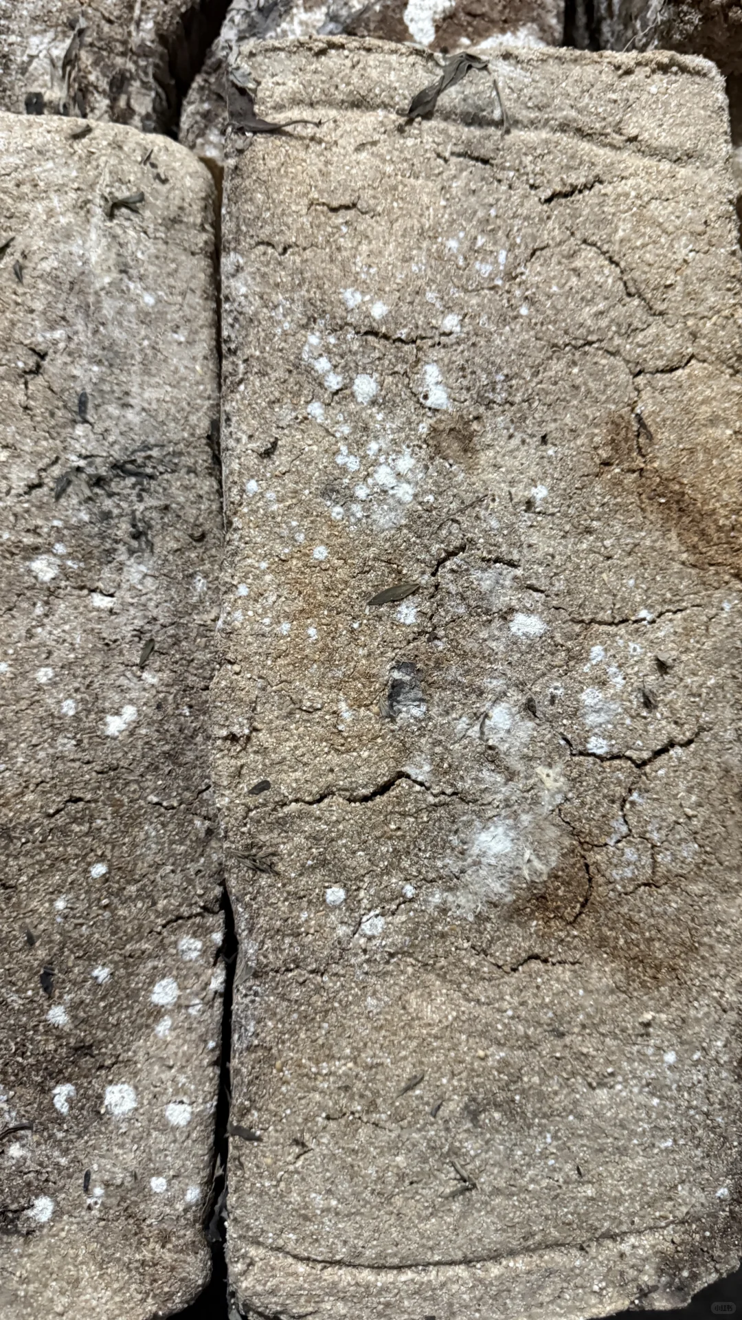 被褐怀玉；广结善缘。