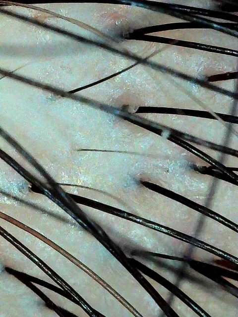 #生姜饮品新用法被我挖到了 109元