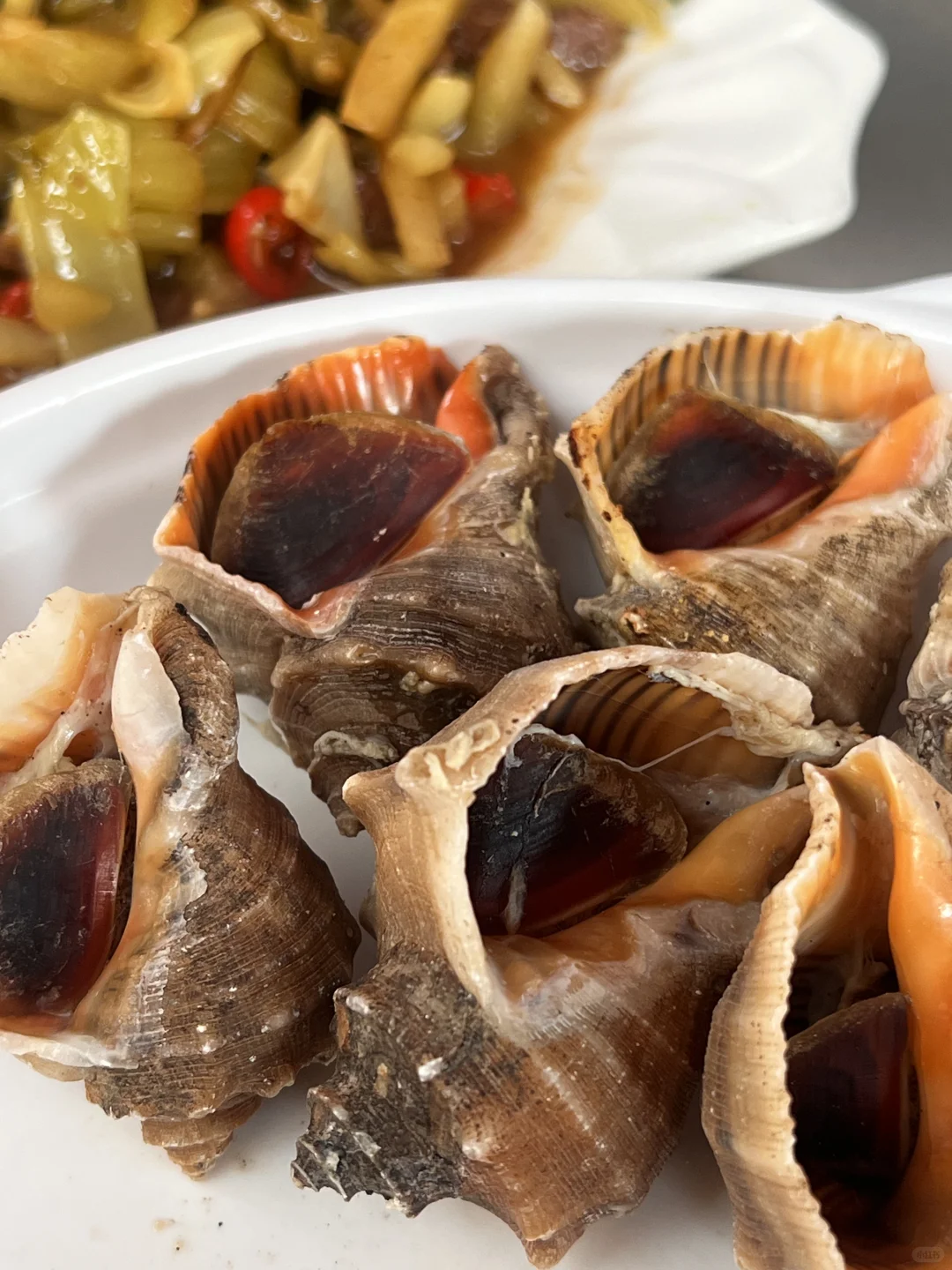 阳江美食 | 白蒲市场实现海鲜自由！