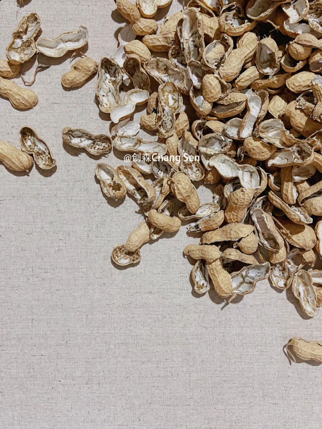 可再生材料 | 花生壳的完美蜕变