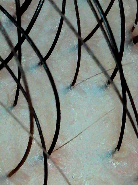 #生姜饮品新用法被我挖到了 109元