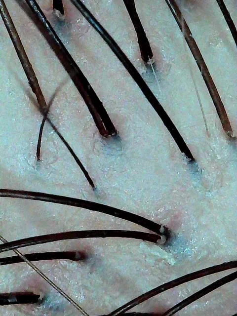 #生姜饮品新用法被我挖到了 109元