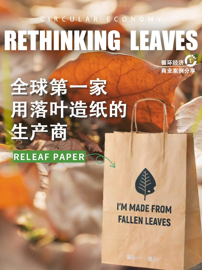 ?循环经济新风口?城市落叶竟?变成纸⁉️