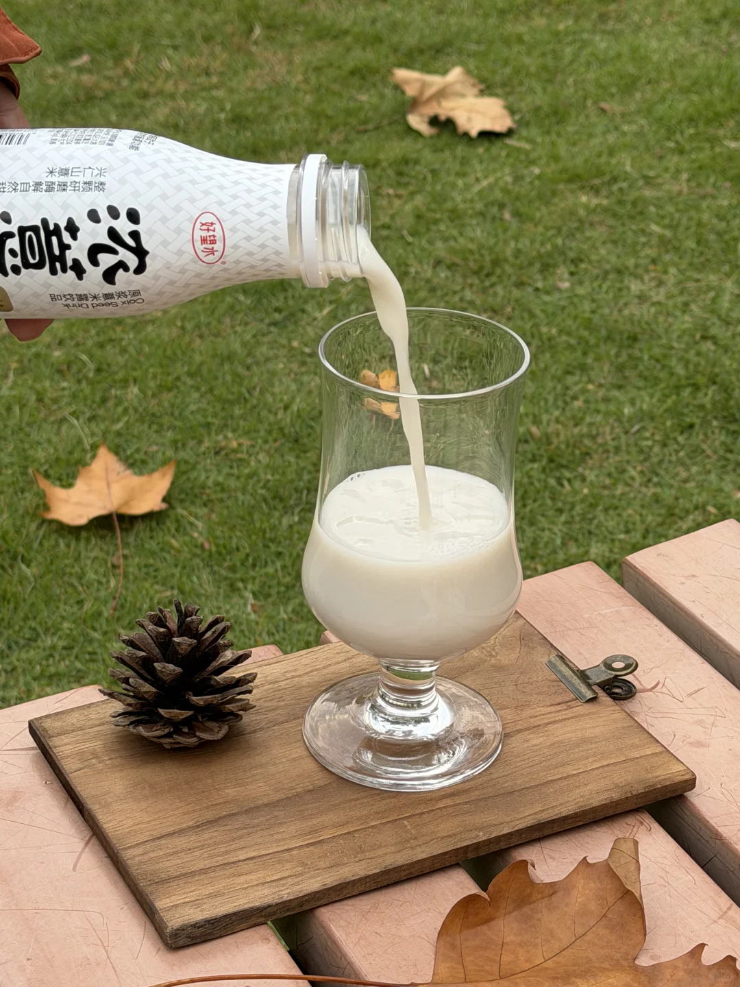 Autumn 好食在秋日