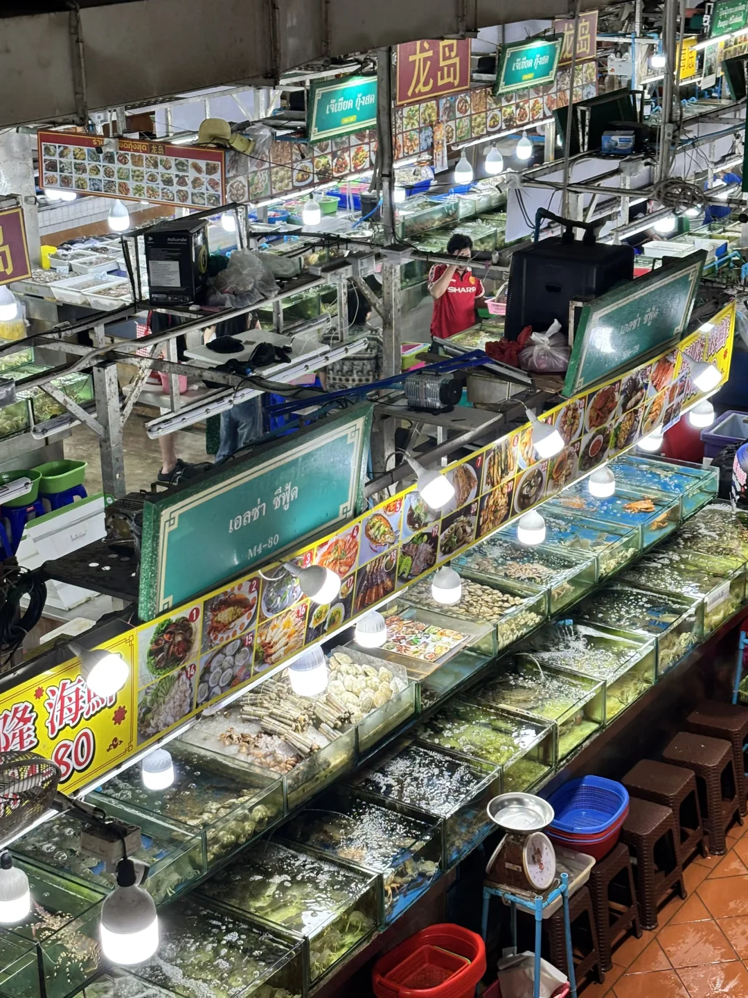 ??普吉岛这家海鲜市场,成功砍价攻略❗️