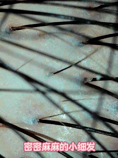 #生姜饮品新用法被我挖到了 109元