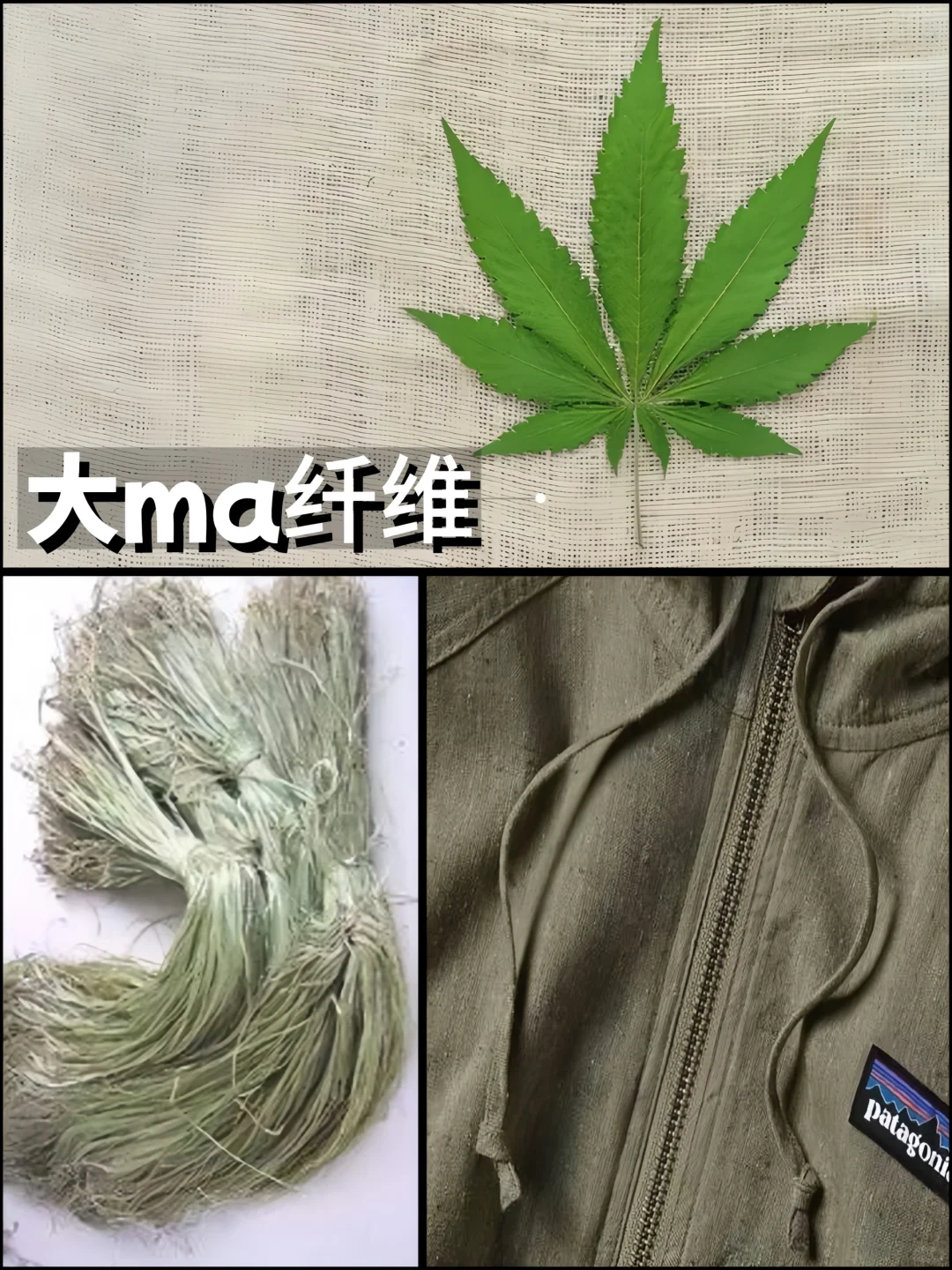更新设计师面料库❗️那些有趣的环保新型面料