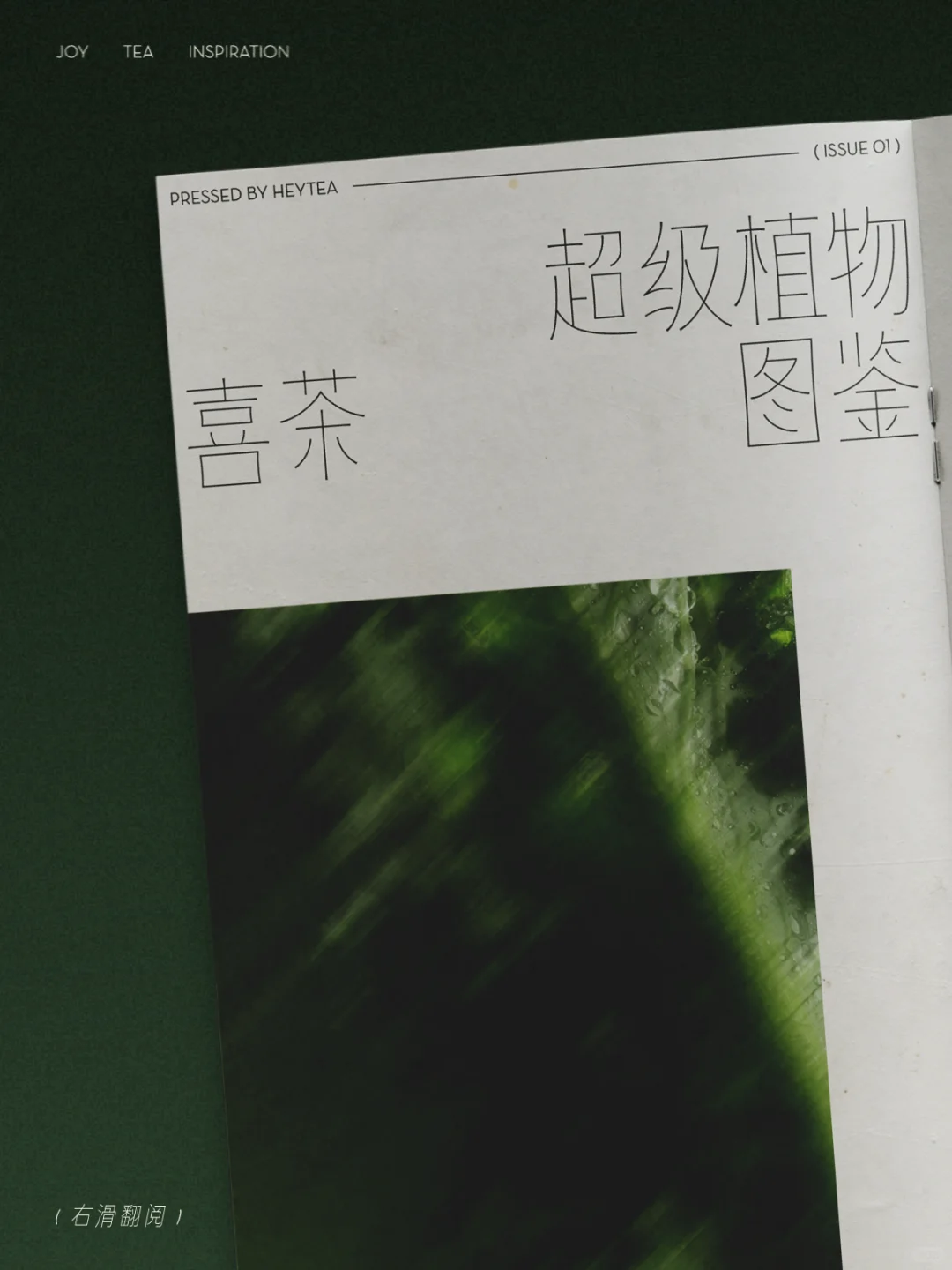 ?从一抹绿色出发，探访超级植物茶