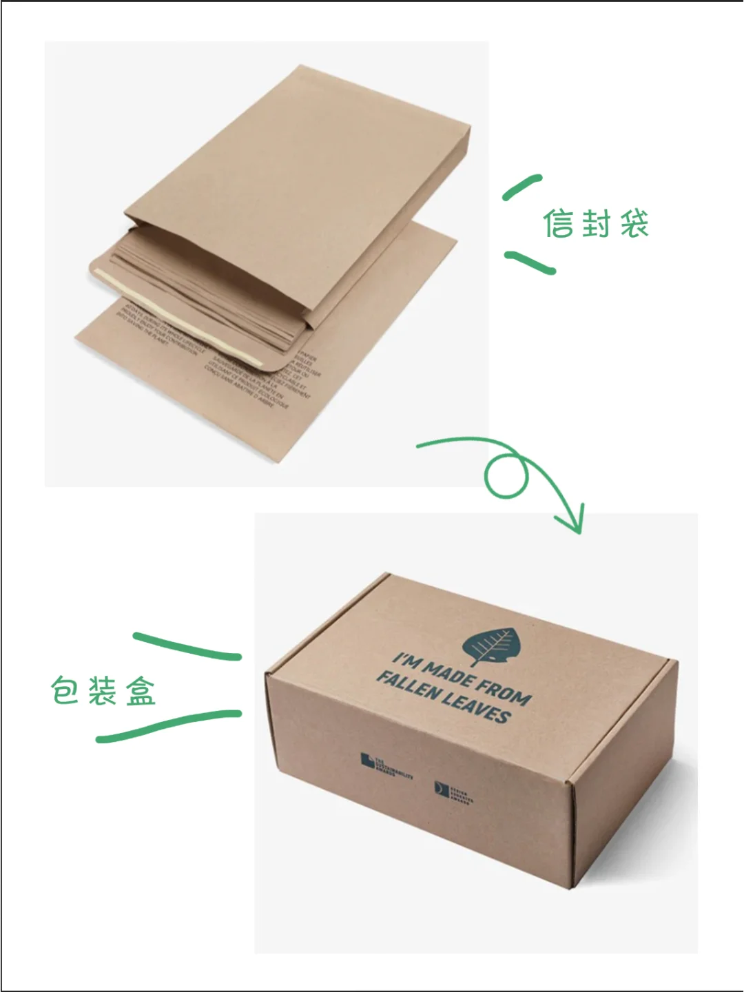 ?循环经济新风口?城市落叶竟?变成纸⁉️