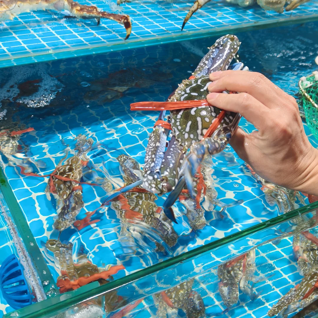 北海贵州路市场