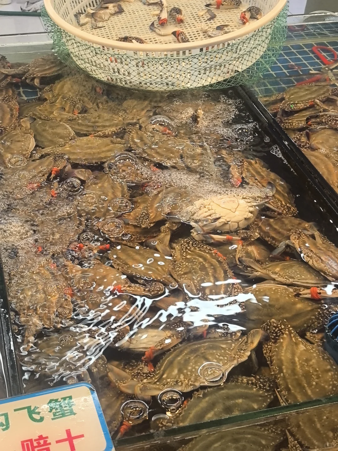 大连海鲜 华北路市场??