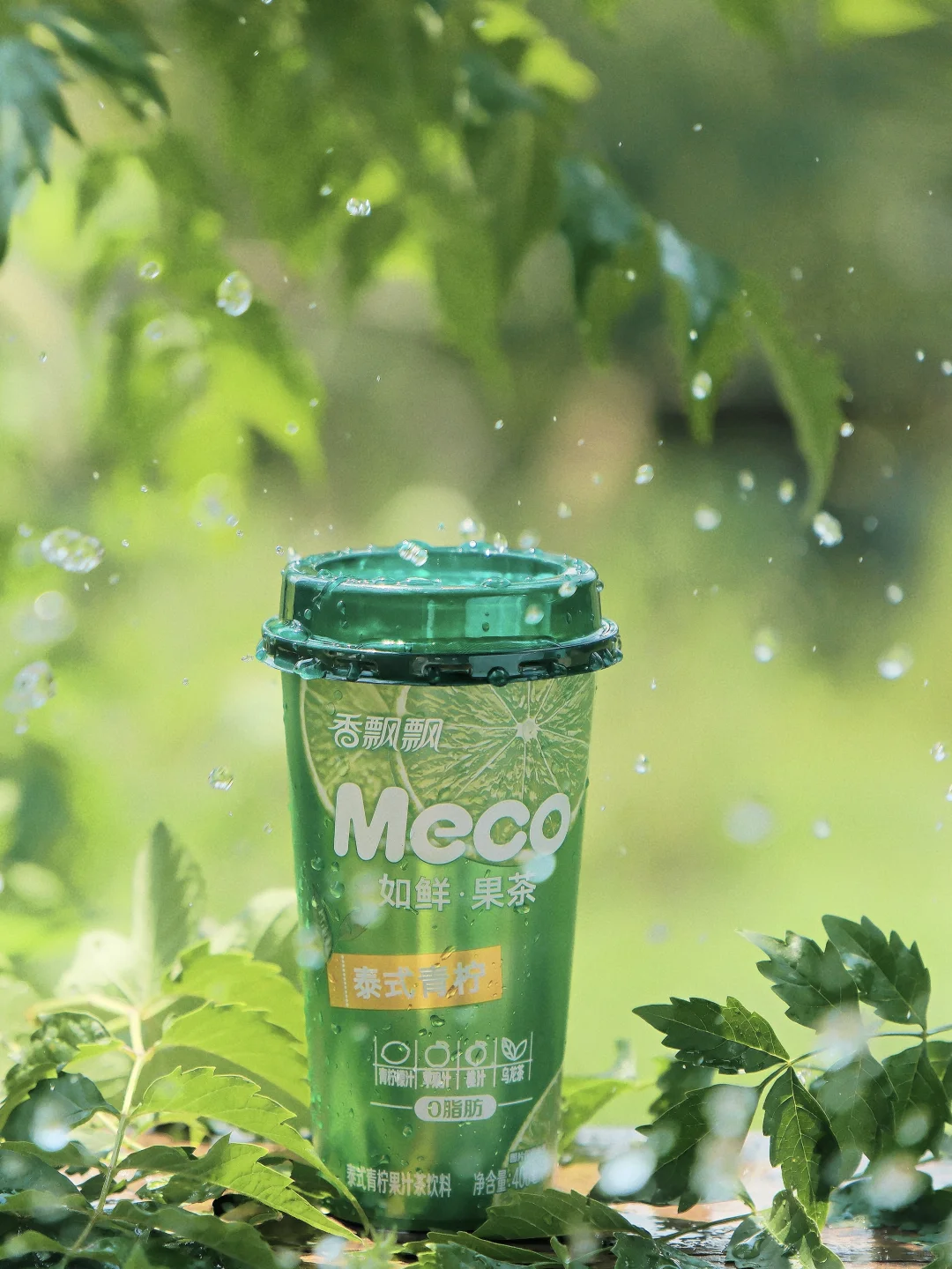 我的夏日快乐源泉