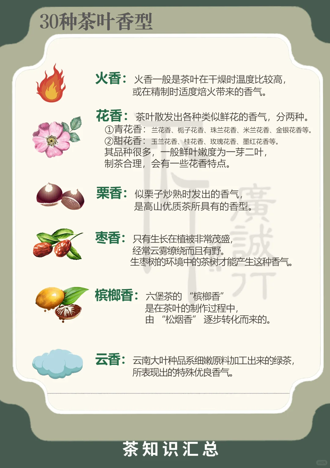 30种茶叶香型|看完就是品茶大佬