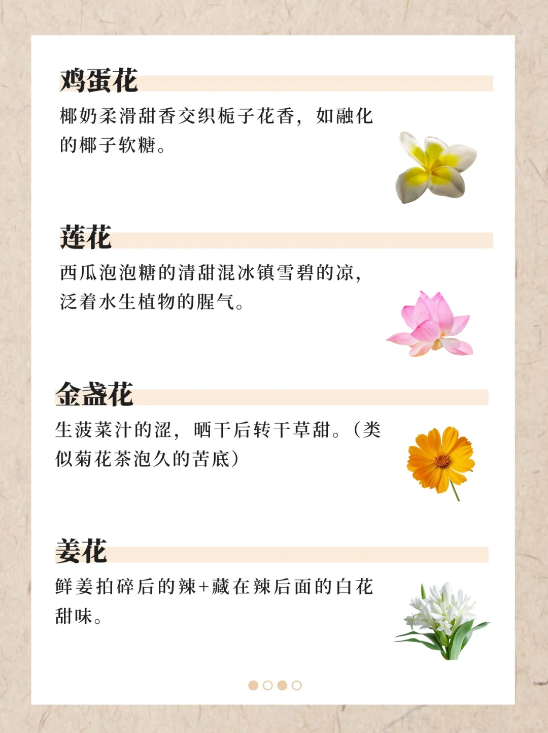 香水香料气味词典（下）｜122种香料真实气味