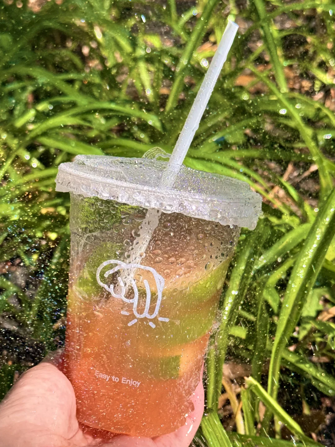 救命！李茶的茶真是我的夏日续命水！?