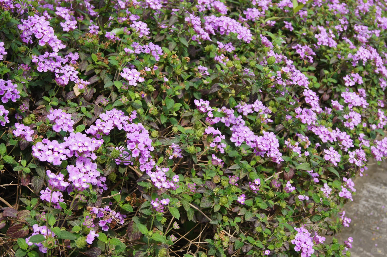 2025 外贸新方向:解析潜力蓝海市场