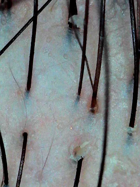 #生姜饮品新用法被我挖到了 109元