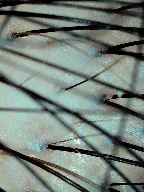 #生姜饮品新用法被我挖到了 109元