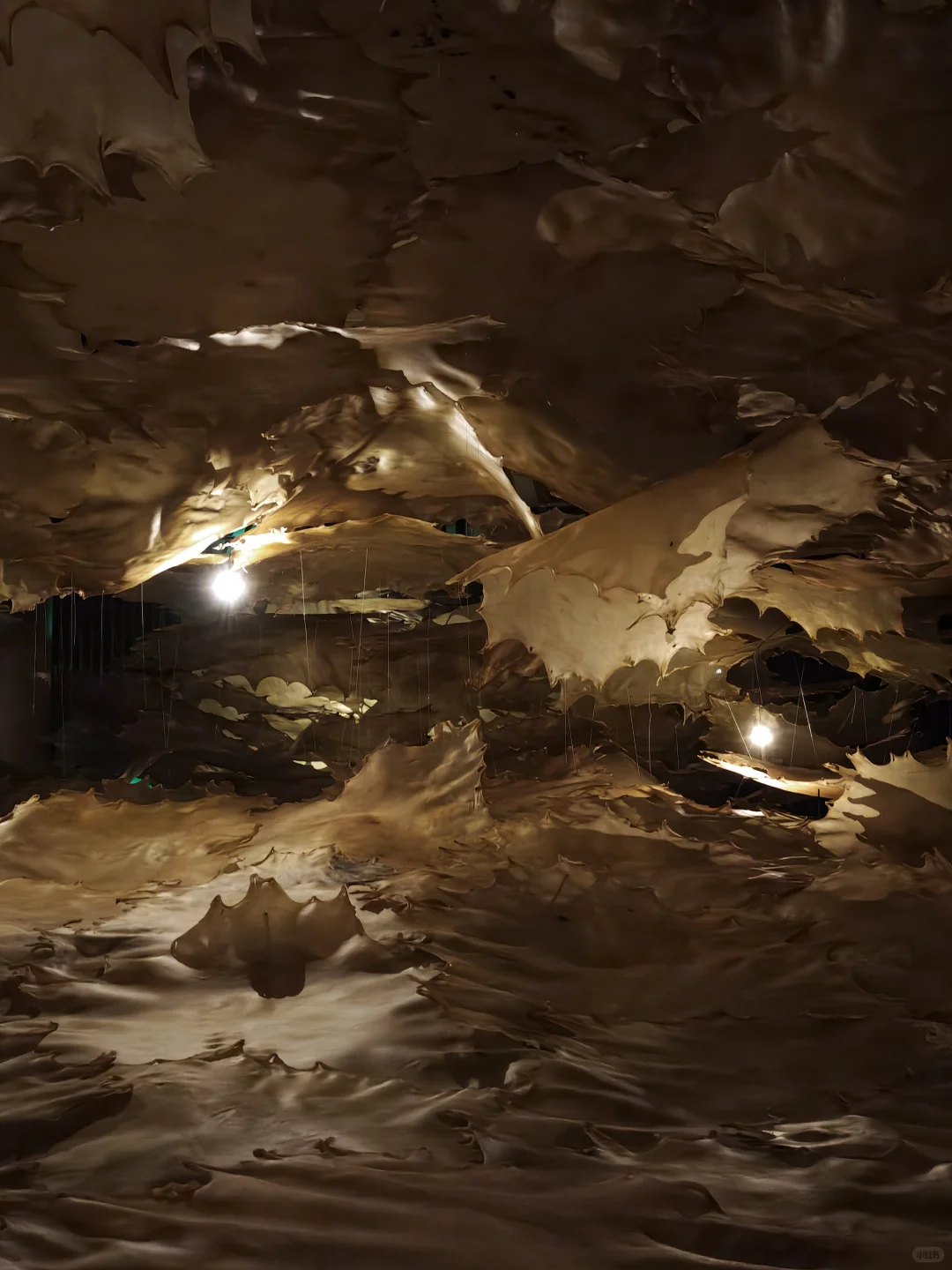 晋城人的大碗饸饹！！家乡最美城市会客厅！