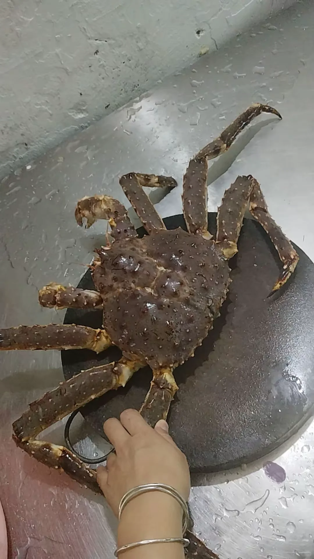 陈记川味海鲜加工店、林旺市场109号